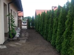Ogrodnictwo Szczecin 0003